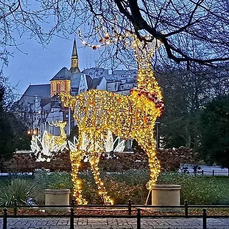 Apartment Lopuskiego 16 *