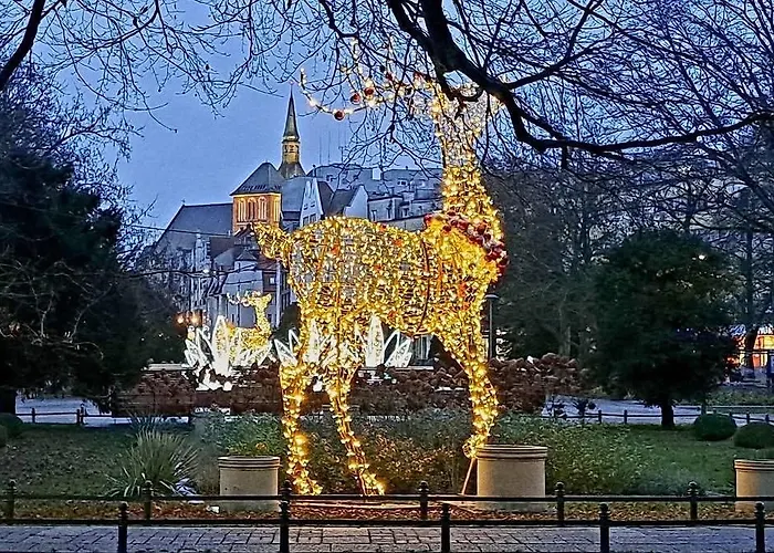 Apartment Lopuskiego 16 *