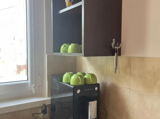 Lopuskiego 16 شقة *